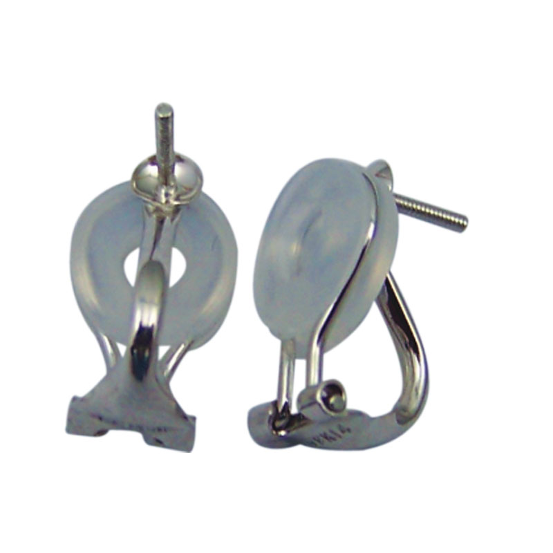 Hoop  Earrings